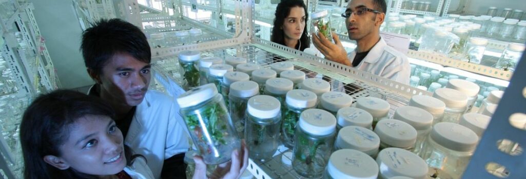 biotecnologia